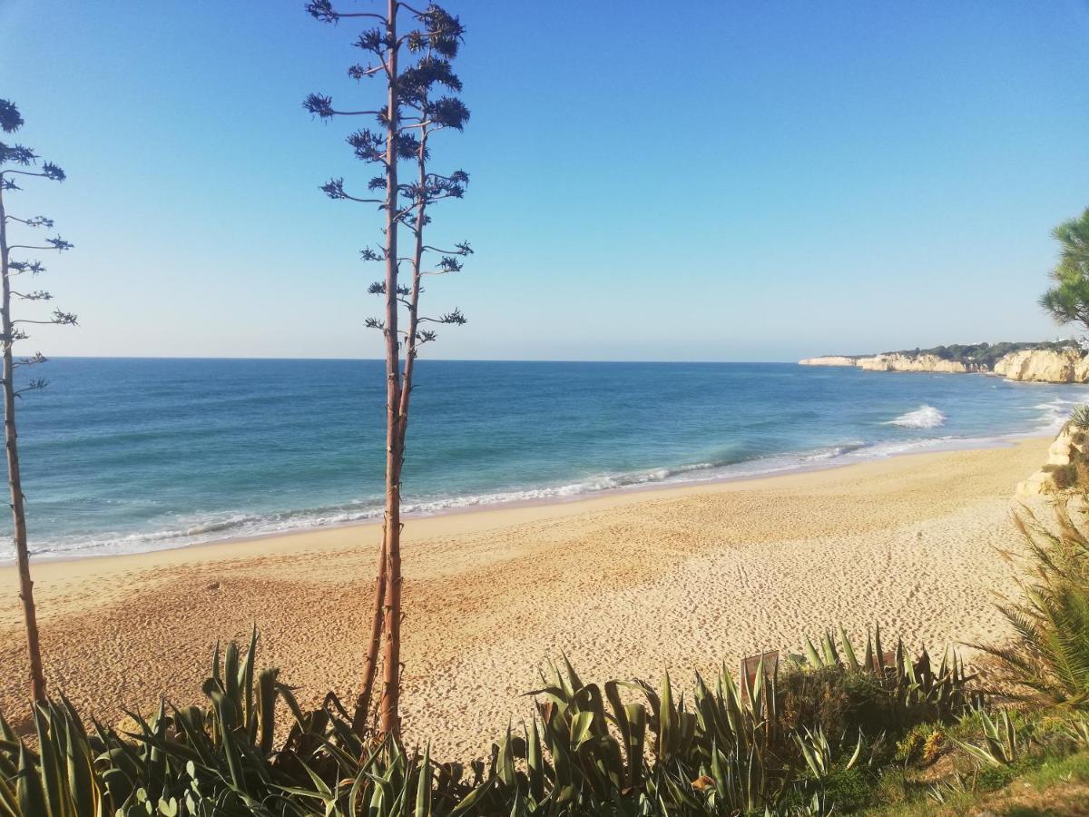 Apartamento Do Algarve Armação de Pêra Dış mekan fotoğraf